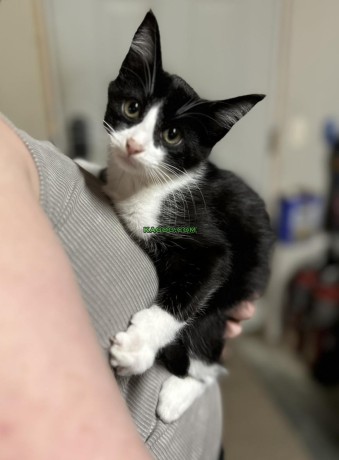 TIPSY & KAHLUA - Playful Bonded Duo Seeking Adventure